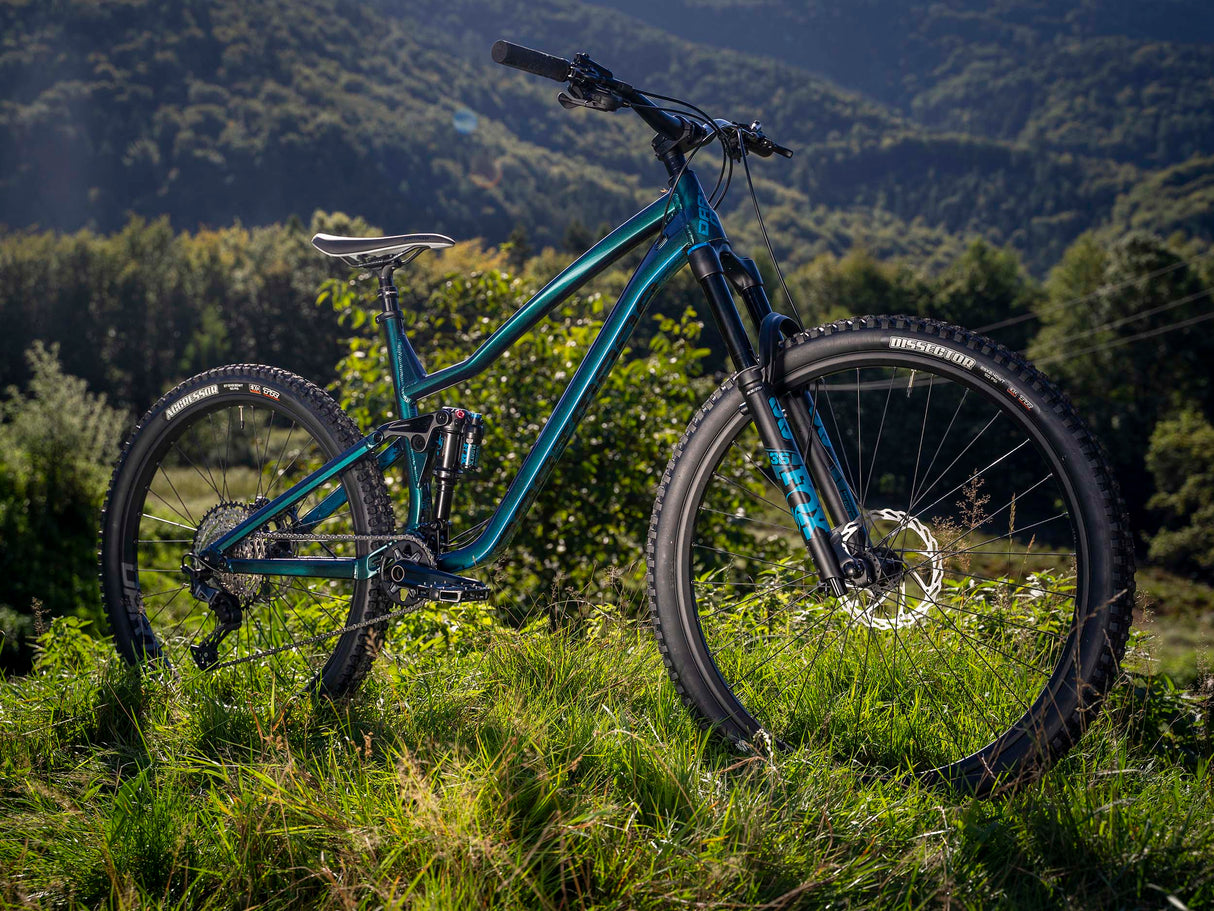 Rower Trail Dartmoor Rocbird Trail Pro | RideHub