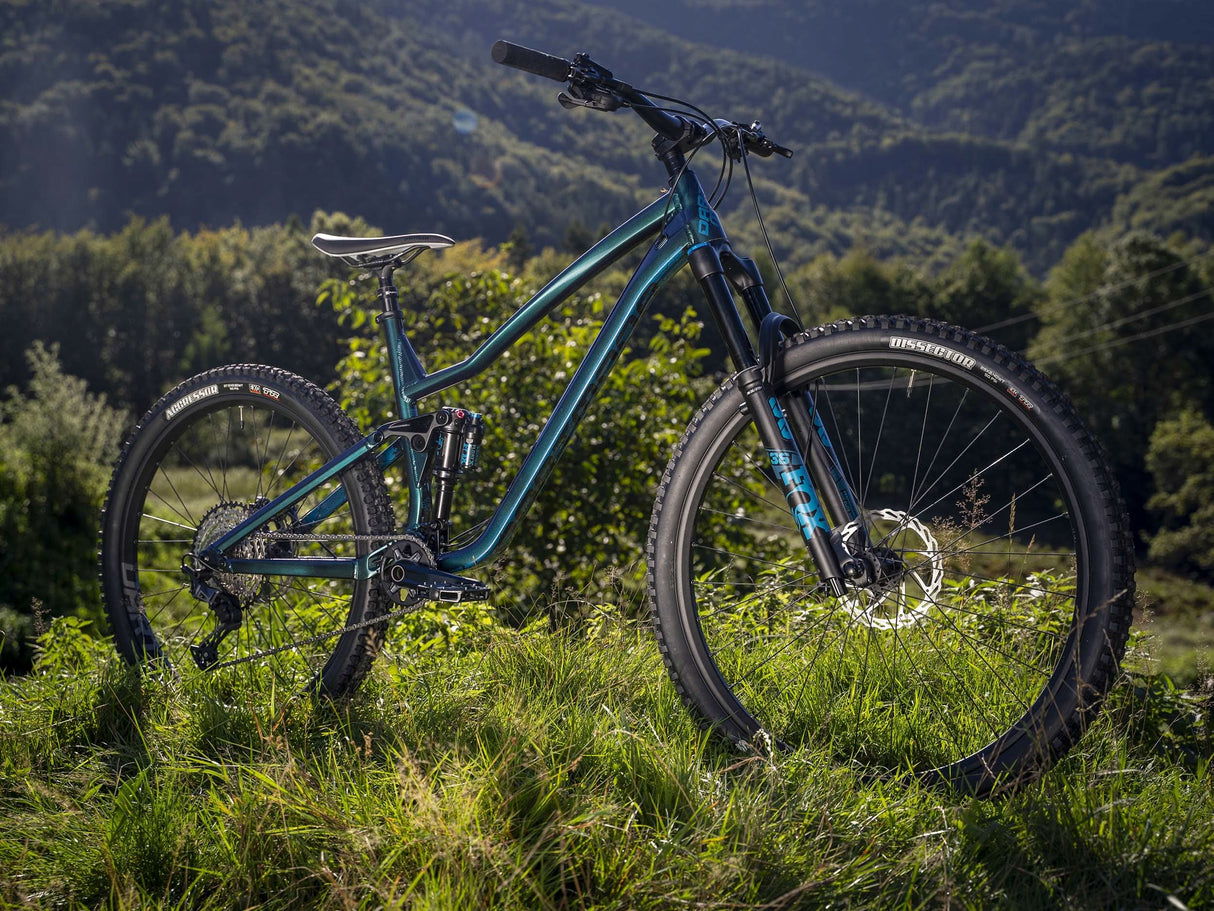 Rower Trail Dartmoor Rocbird Trail Pro | RideHub