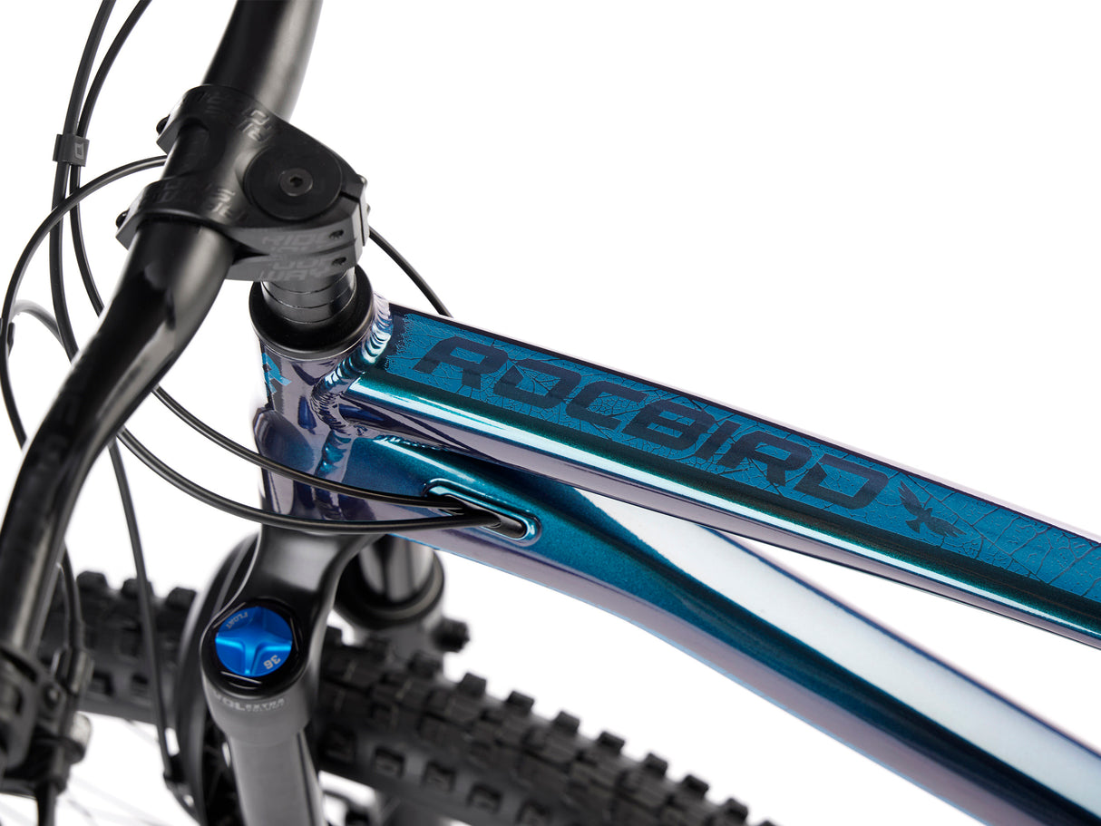 Rower Trail Dartmoor Rocbird Trail Pro | RideHub