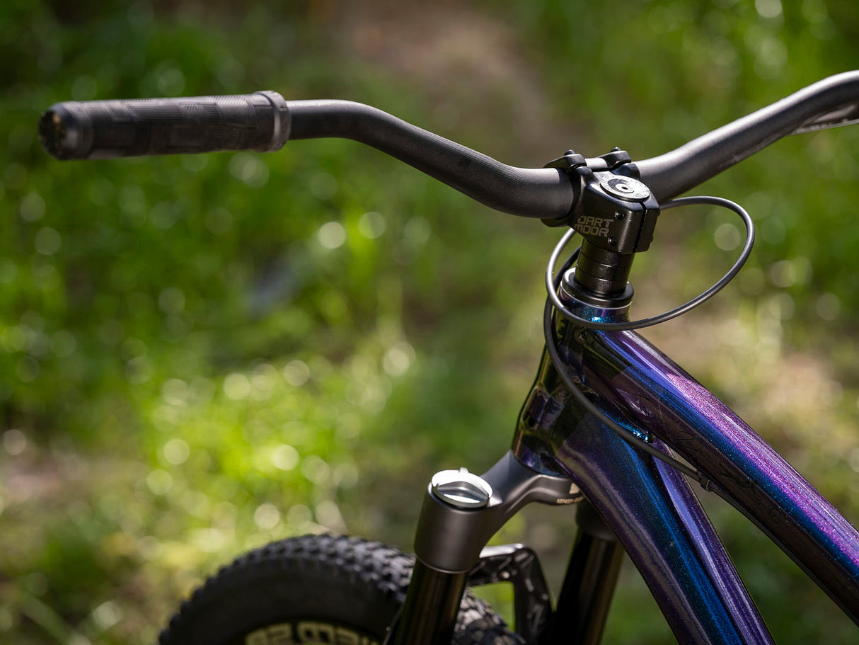 Rower Dirt Jump Bike Dartmoor Two6Player Pro Cosmic | RideHub