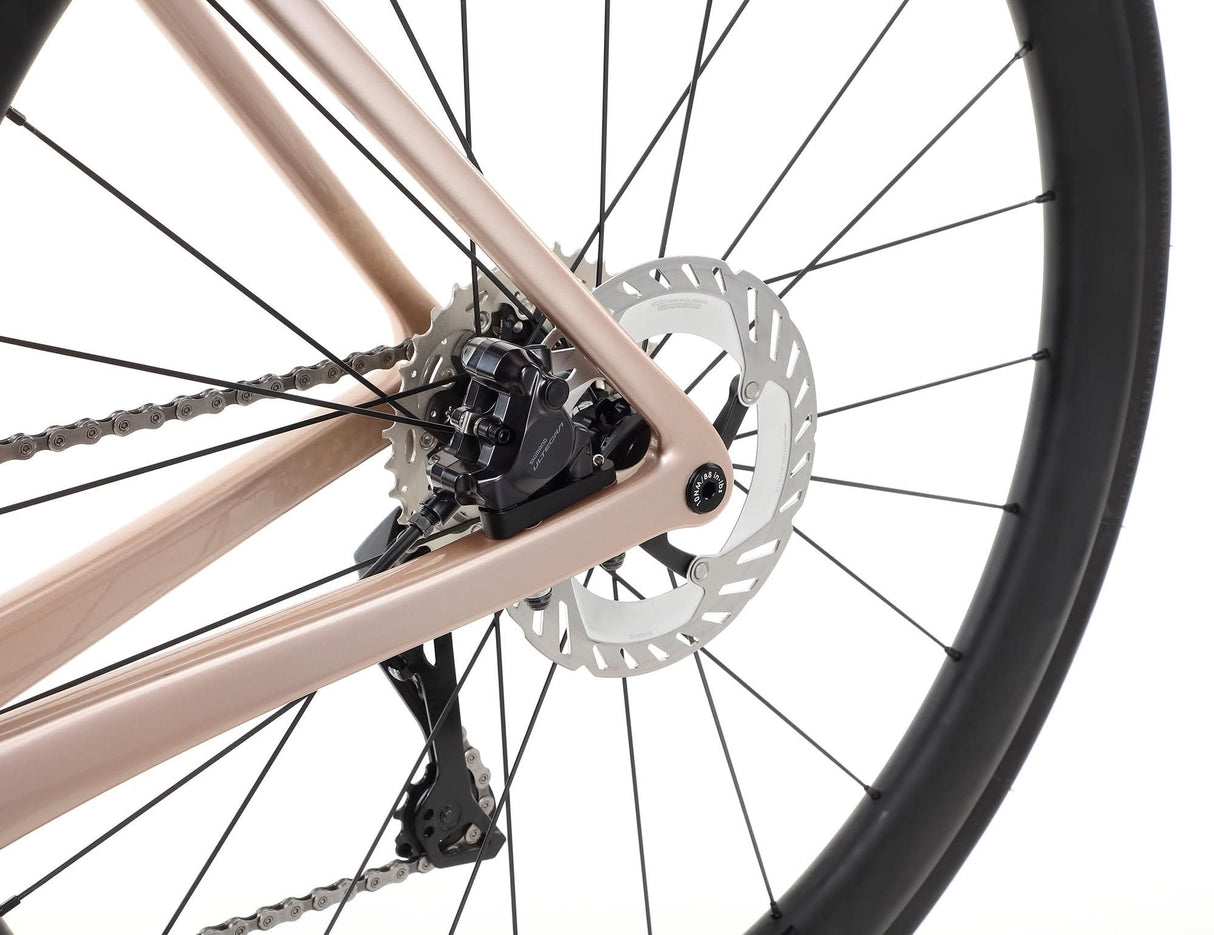 Rivette Carbon 1 – wyścigowy rower szosowy z ramą z karbonu i Ultegra Di2 | Ride Hub