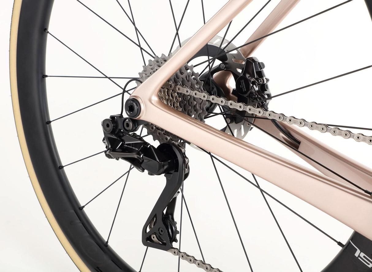 Rivette Carbon Top Shelf – Wyścigowa Maszyna z Włókna Węglowego | Ride Hub