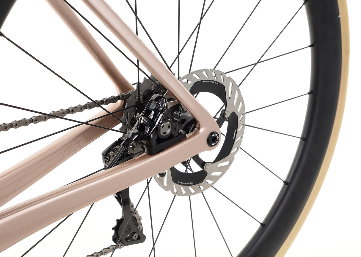 Rivette Carbon Top Shelf – Wyścigowa Maszyna z Włókna Węglowego | Ride Hub