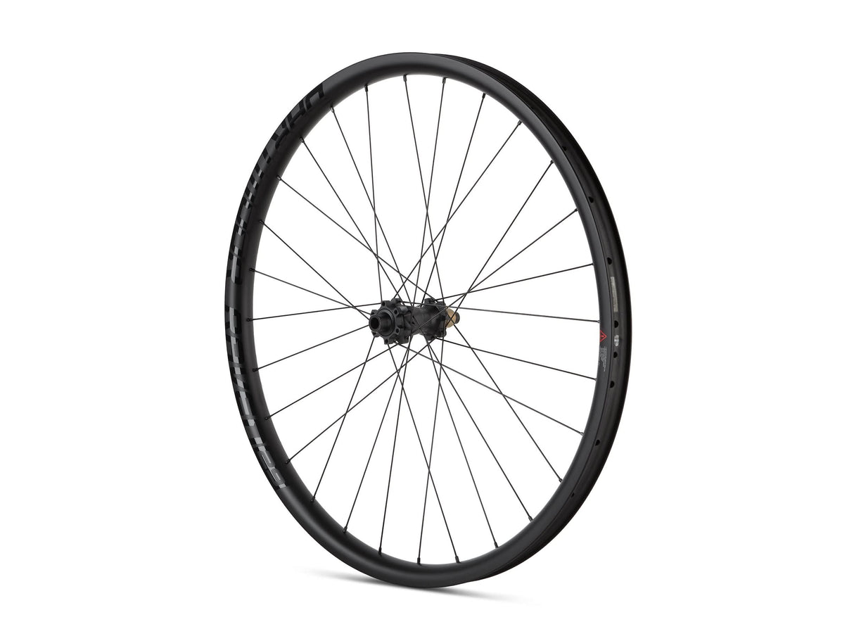 Koła Dartmoor Raven 29 Carbon Expert | RideHub
