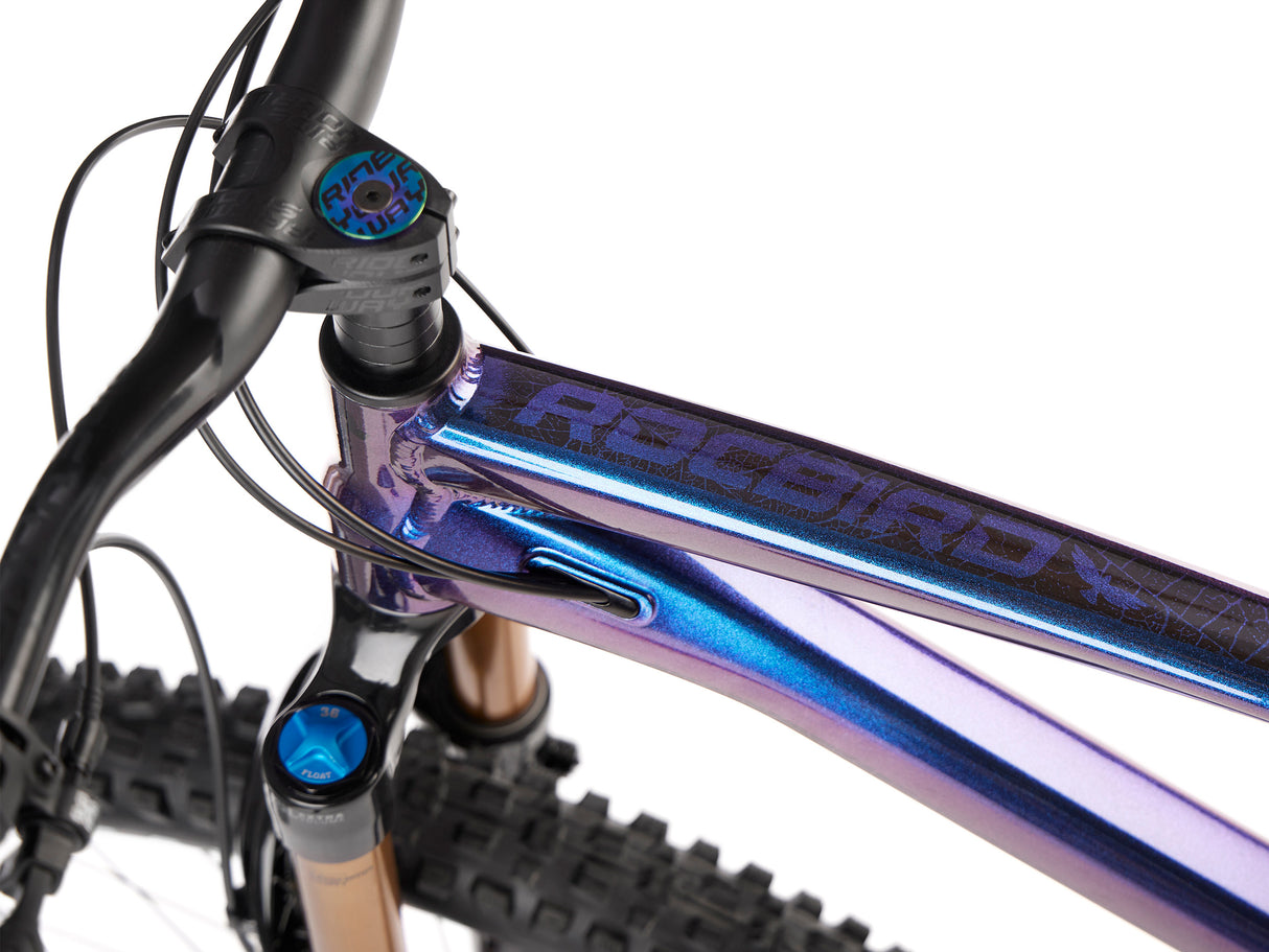 Rower Enduro Dartmoor Rocbird Enduro Pro | RideHub