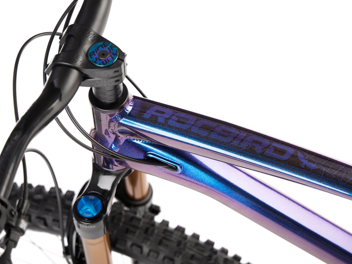 Rower Enduro Dartmoor Rocbird Enduro Pro | RideHub