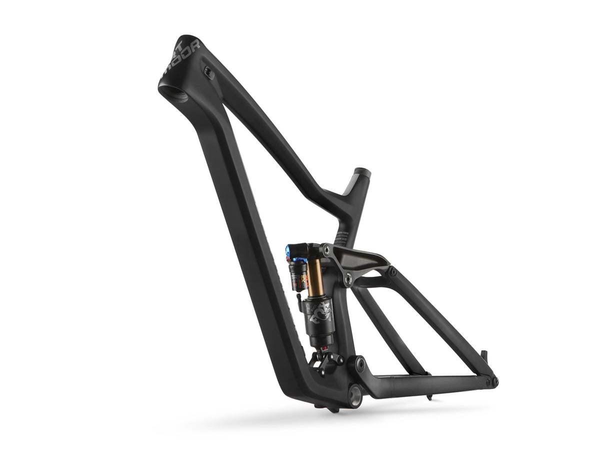 Rama Dartmoor Thunderbird CF | RideHub