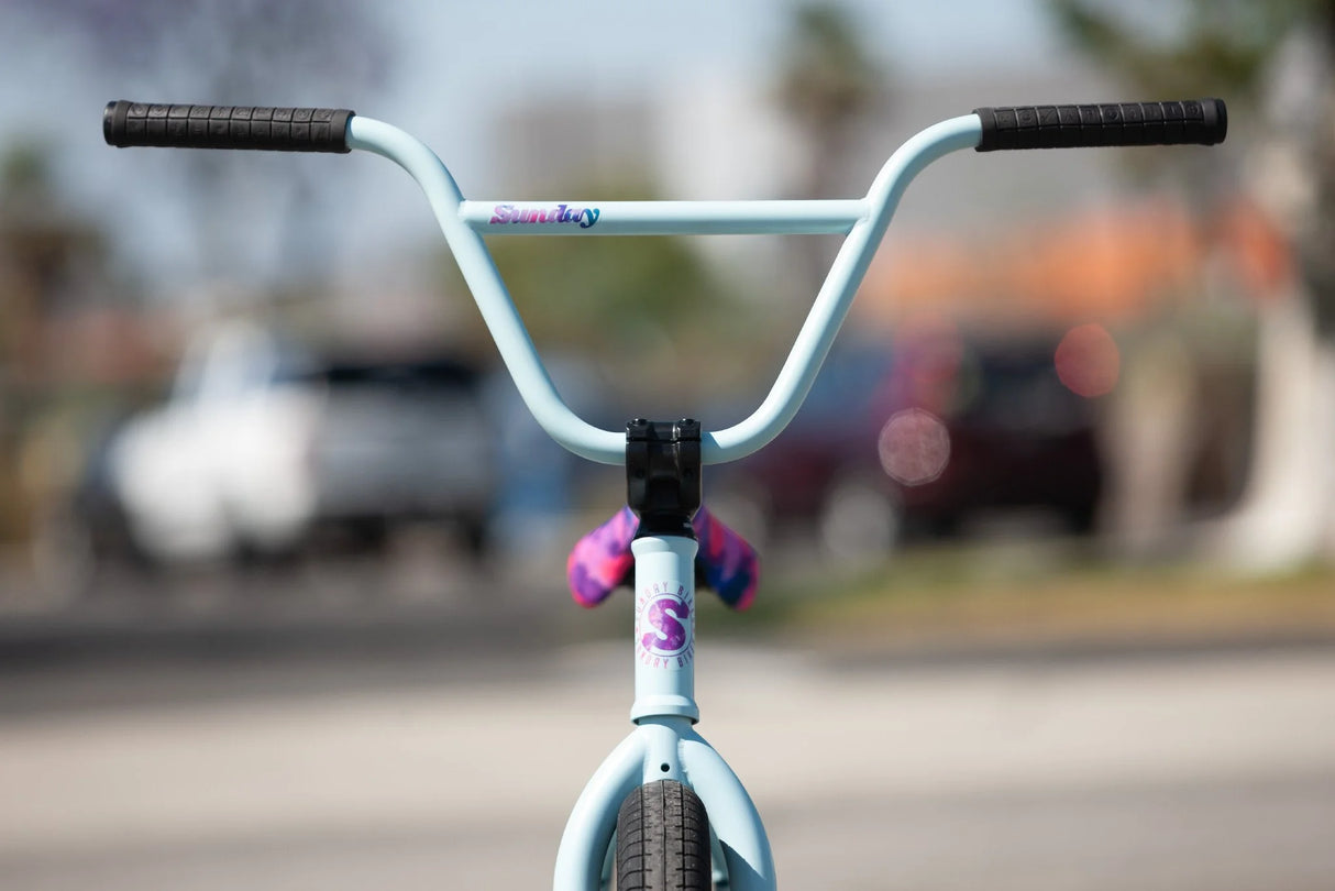 Rower BMX Sunday Forecaster Aaron Ross Signature | Ride Hub