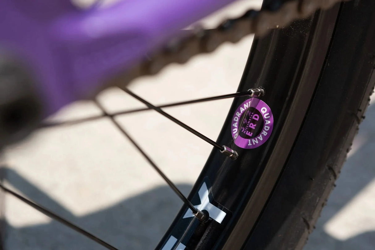 Rower BMX Sunday Street Sweeper | Ride Hub