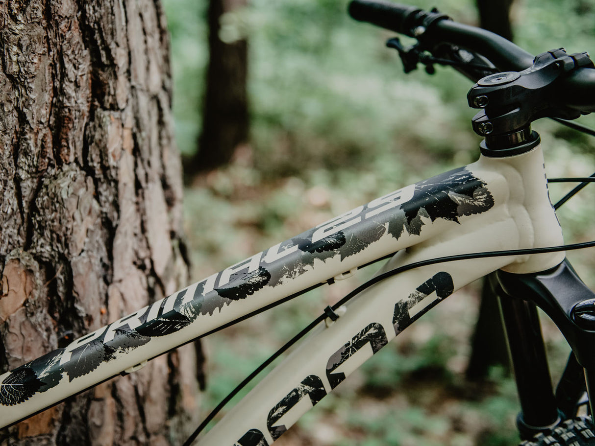 Rama Dartmoor Primal 29" | RideHub