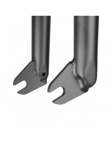 Widelec Federal Session | RideHub