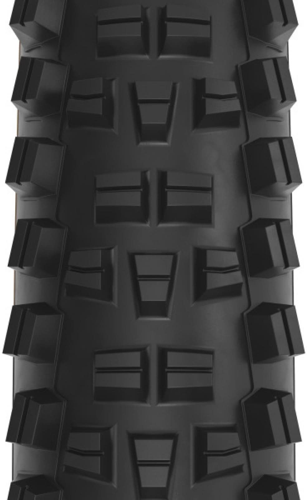 Trail Boss 2.25 x 29 cale 60tpi Dual DNA SG2 / TCS Light FR black-tan