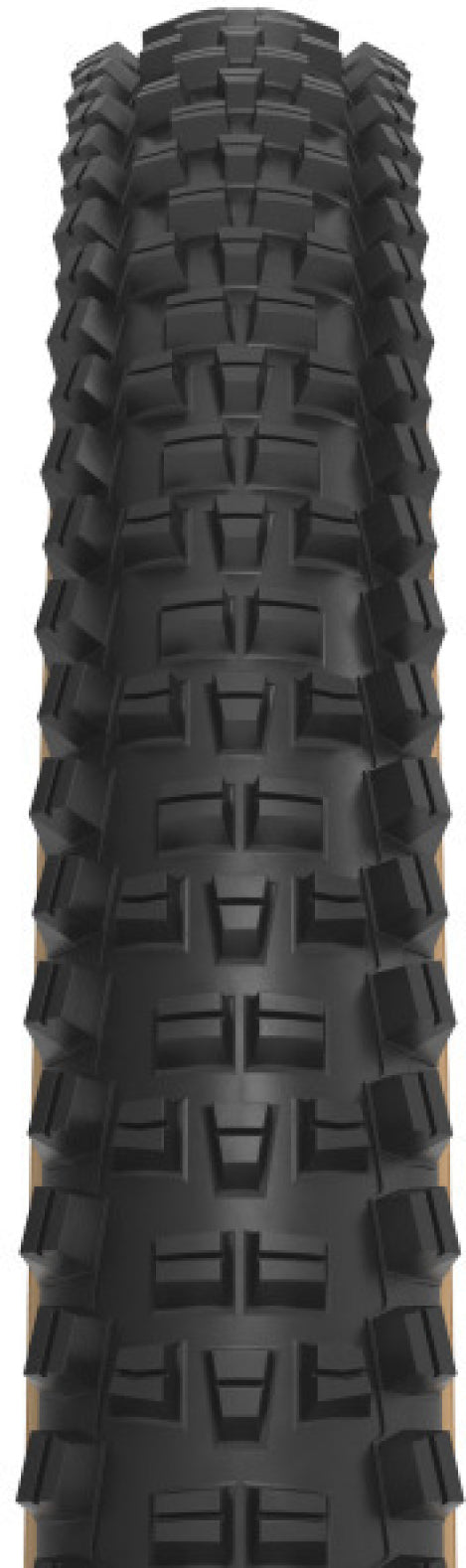 Trail Boss 2.25 x 29 cale 60tpi Dual DNA SG2 / TCS Light FR black-tan