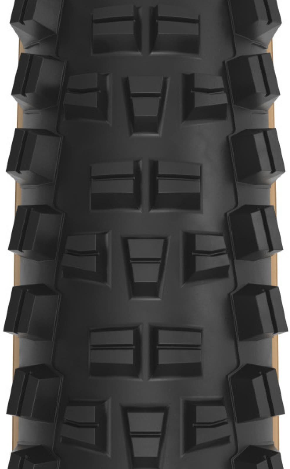 Trail Boss 2.25 x 29 cale 60tpi Dual DNA SG2 / TCS Light FR black-tan