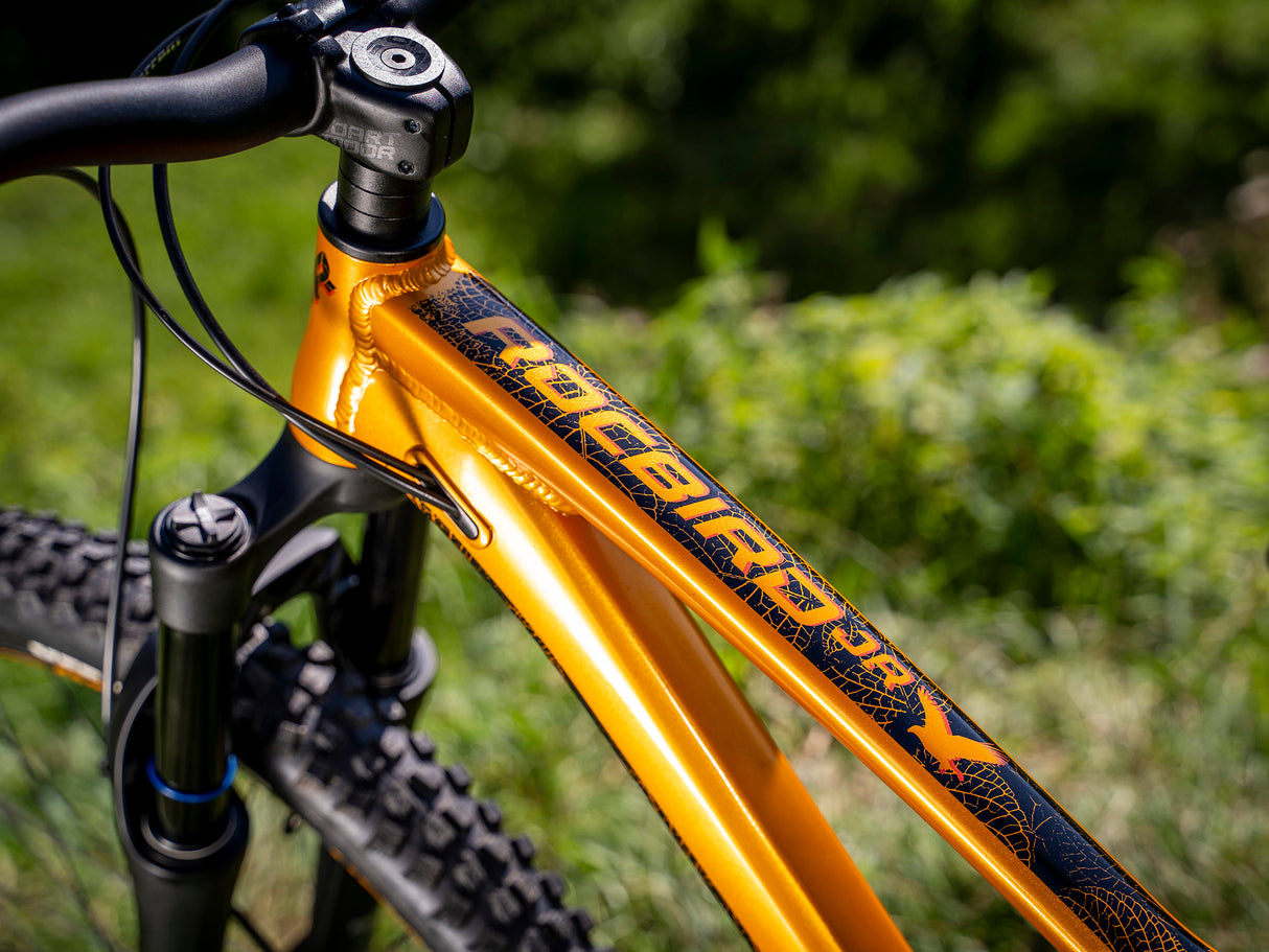 Rama Dartmoor Rocbird Junior S | RideHub