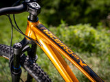 Rama Dartmoor Rocbird Junior S | RideHub