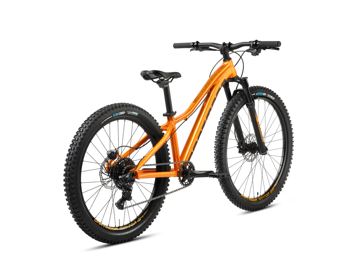 Rower MTB Junior Dartmoor Sparrow 26/24 | RideHub