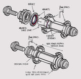 Zestaw piast BMX Fly Bikes Magneto CrMo Hub Set | RideHub