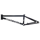 Rama BMX Fit Bike Co. Metal Eagle Frame | RideHub