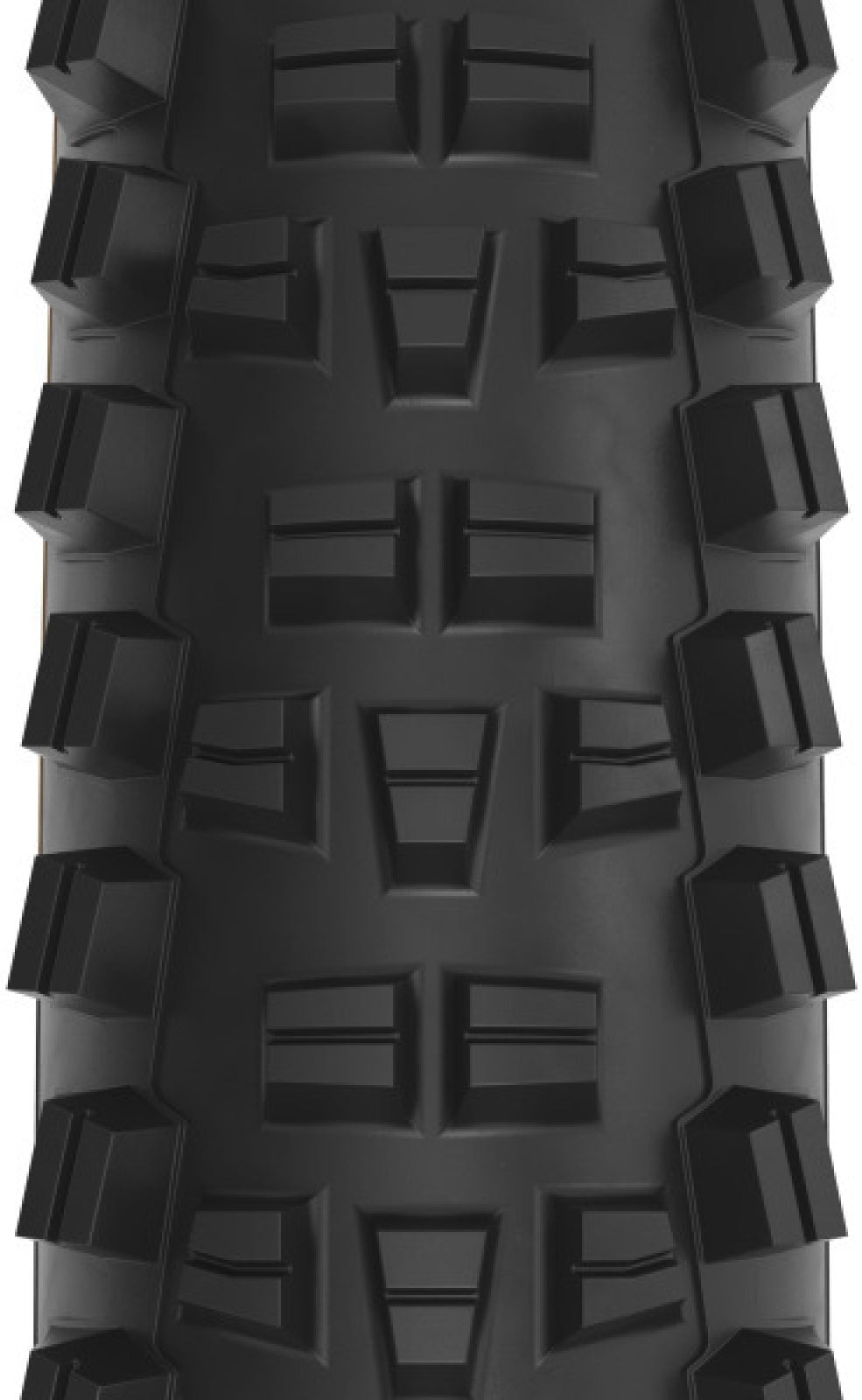 Trail Boss   2.25 x 29 cale 60tpi Dual DNA SG2 / TCS Light FR black-tan