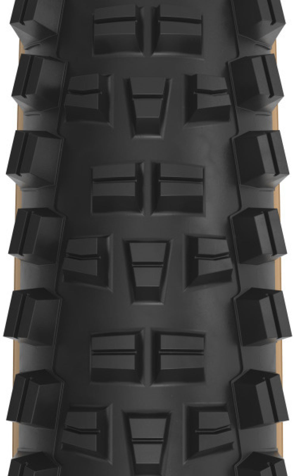 Trail Boss   2.25 x 29 cale 60tpi Dual DNA SG2 / TCS Light FR black-tan